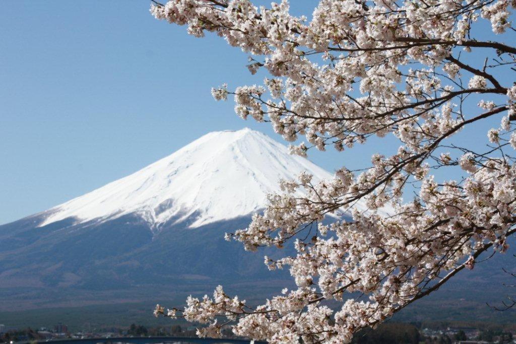 御師の家　梅谷（Umeya） Fujikawaguchiko Exterior foto